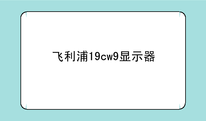 飞利浦19cw9显示器
