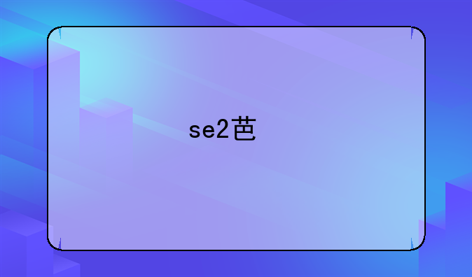 se2芯片和谁一样？