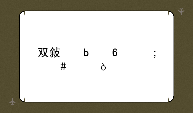 双敏显卡怎么样？