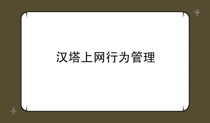 汉塔上网行为管理