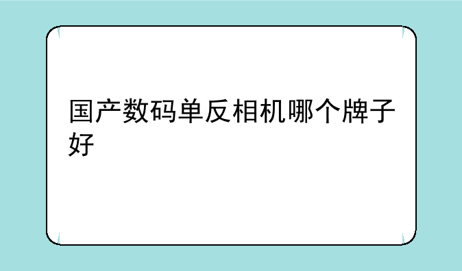 国产数码单反相机哪个牌子好