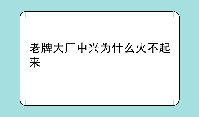 老牌大厂中兴为什么火不起来