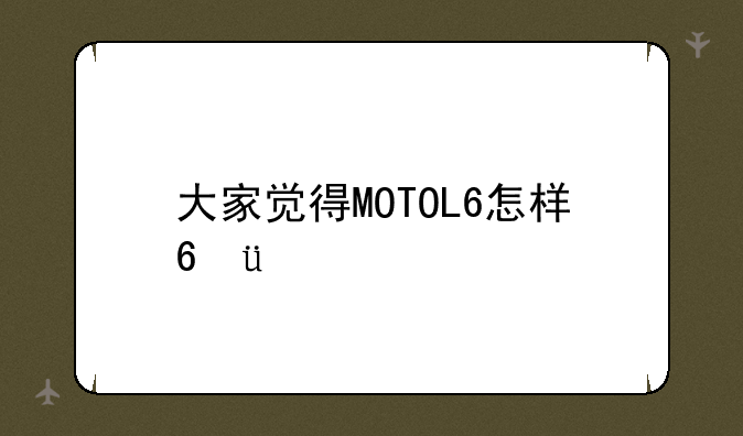 大家觉得MOTOL6怎样???
