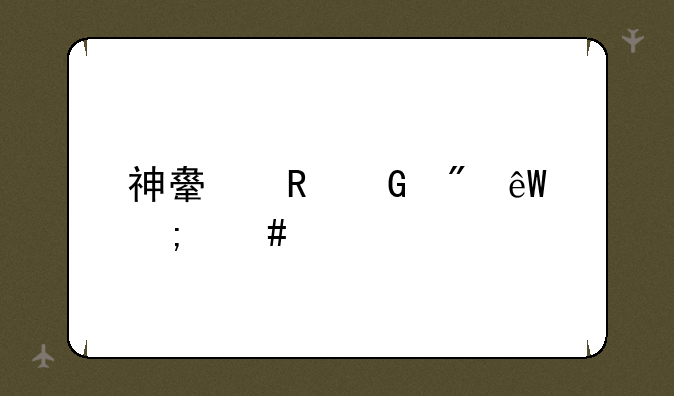神舟电脑到底怎么样