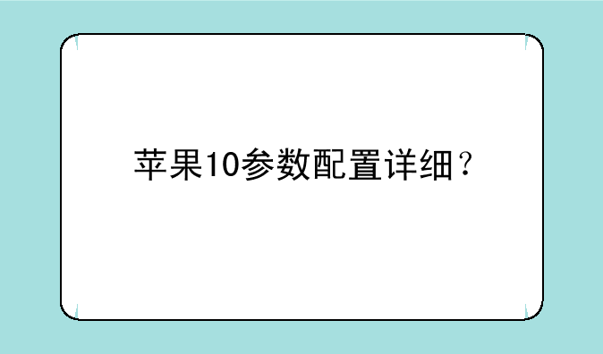 苹果10参数配置详细？