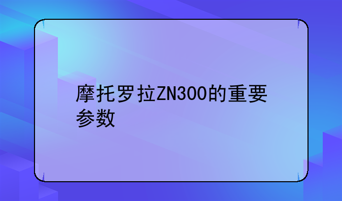 摩托罗拉ZN300的重要参数