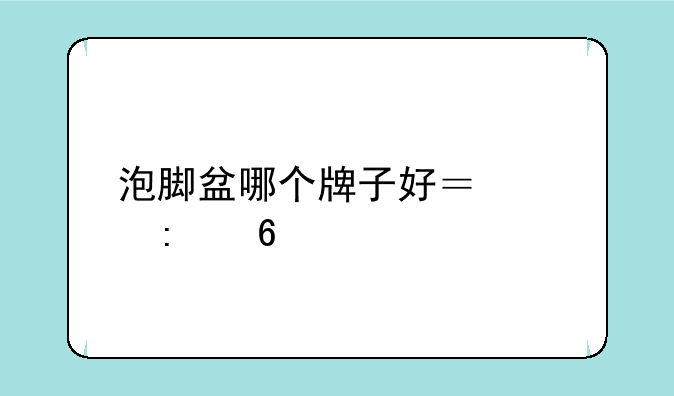 泡脚盆哪个牌子好？求推荐