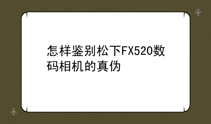 怎样鉴别松下FX520数码相机的真伪