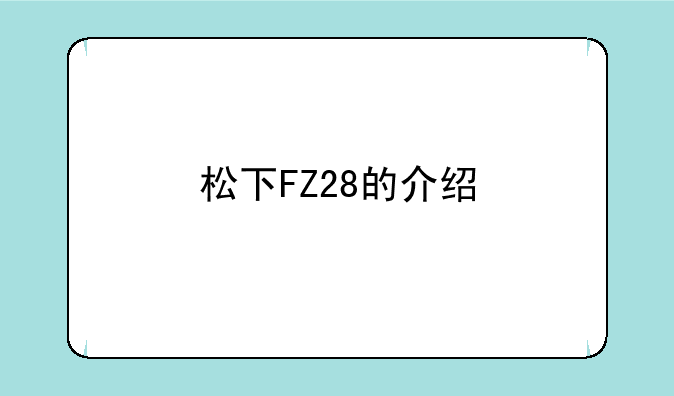 松下FZ28的介绍
