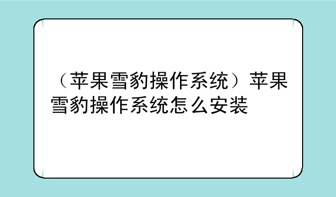 （苹果雪豹操作系统）苹果雪豹操作系统怎么安装