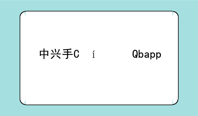 中兴手环__中兴手环app