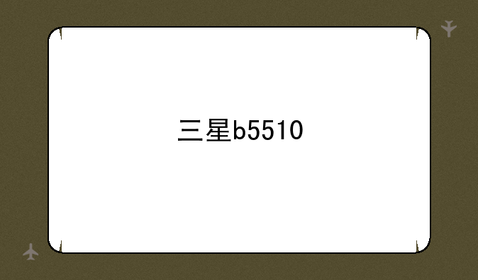 三星b5510