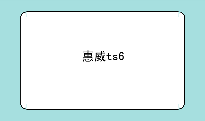 惠威ts6