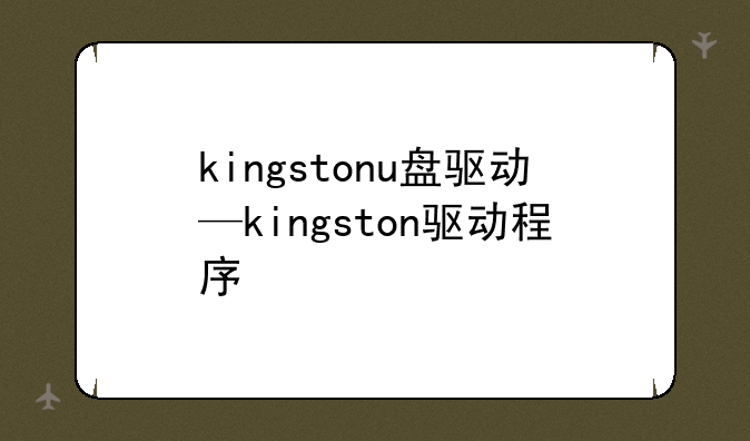 kingstonu盘驱动—kingston驱动程序